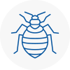 Bed Bug Extermination In Wigston